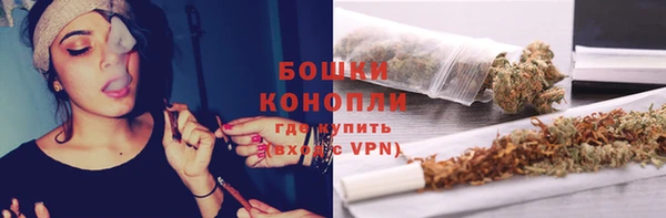 ALPHA PVP Остров