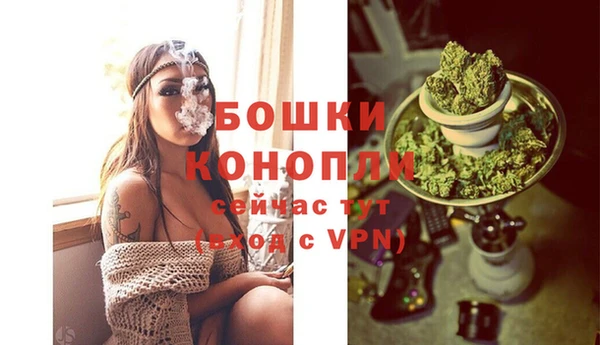 apvp Осинники