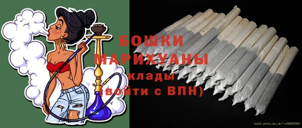 apvp Осинники