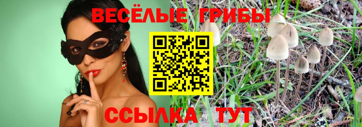 Балабаново  Псилоцибиновые грибы мухоморы  наркотики  Вход с VPN 