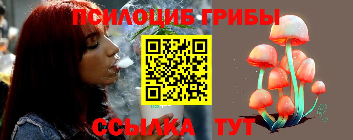 Псилоцибиновые грибы Psilocybe Балабаново